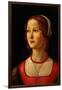 Portrait of Young Woman, 1485-Domenico Ghirlandaio-Framed Giclee Print