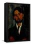 Portrait of Zborowski, 1916-Amedeo Modigliani-Framed Stretched Canvas