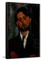 Portrait of Zborowski, 1916-Amedeo Modigliani-Framed Stretched Canvas