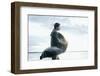 Portrait on the Shores of Iceland.-Yuliya Yafimik-Framed Photographic Print