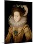 Portrait, Possibly Mary Queen of Scots-William Segar-Mounted Giclee Print