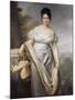 Portrait présumé de madame de Caraman-Chimay (ex Tallien)-Jacques-Louis David-Mounted Giclee Print