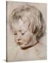 Portrait Study of His Son Nicolas, 1621-Peter Paul Rubens-Stretched Canvas