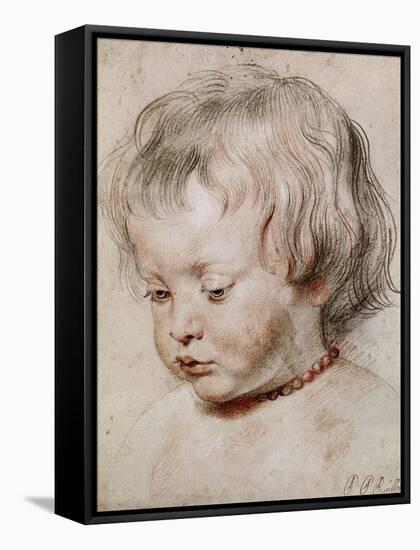 Portrait Study of His Son Nicolas, 1621-Peter Paul Rubens-Framed Stretched Canvas