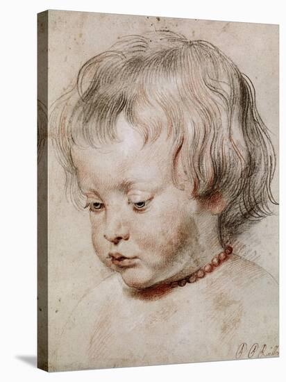 Portrait Study of His Son Nicolas, 1621-Peter Paul Rubens-Stretched Canvas