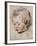 Portrait Study of His Son Nicolas, 1621-Peter Paul Rubens-Framed Giclee Print