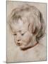 Portrait Study of His Son Nicolas, 1621-Peter Paul Rubens-Mounted Giclee Print