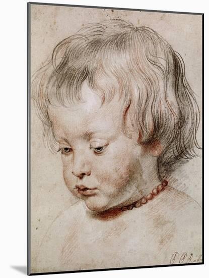 Portrait Study of His Son Nicolas, 1621-Peter Paul Rubens-Mounted Giclee Print
