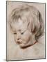 Portrait Study of His Son Nicolas, 1621-Peter Paul Rubens-Mounted Giclee Print