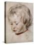 Portrait Study of His Son Nicolas, 1621-Peter Paul Rubens-Stretched Canvas