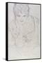 Portrait with Right Hand on Chin, Bildnes Von Vorne, c.1917-1918-Gustav Klimt-Framed Stretched Canvas