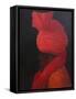 Portrait with Smile-Lincoln Seligman-Framed Stretched Canvas