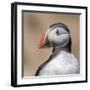 Portrait-Piotr Galus-Framed Giclee Print