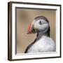 Portrait-Piotr Galus-Framed Giclee Print