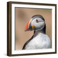 Portrait-Piotr Galus-Framed Photographic Print