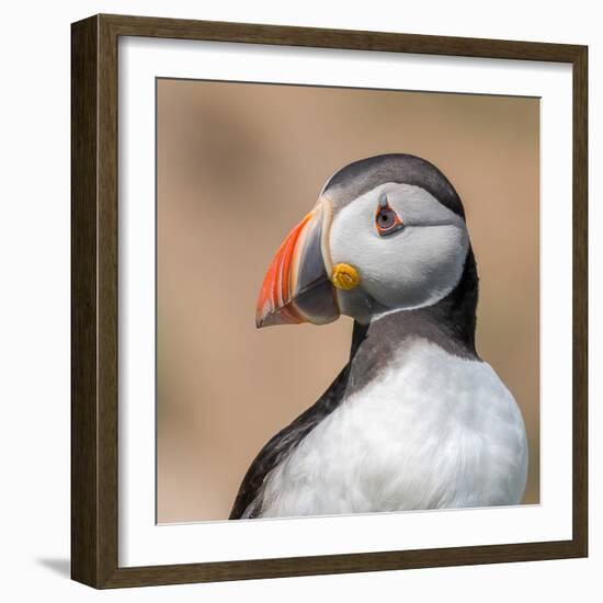 Portrait-Piotr Galus-Framed Photographic Print