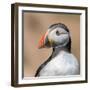 Portrait-Piotr Galus-Framed Photographic Print