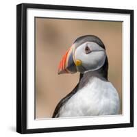 Portrait-Piotr Galus-Framed Photographic Print