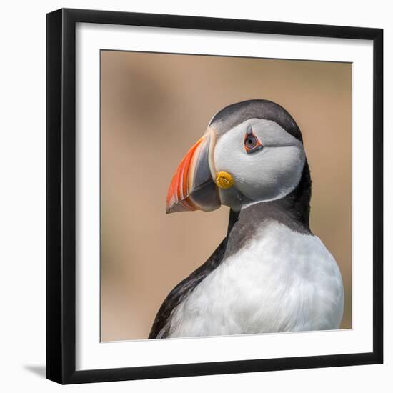 Portrait-Piotr Galus-Framed Photographic Print