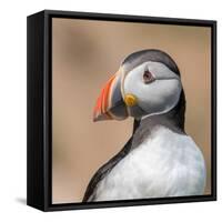 Portrait-Piotr Galus-Framed Stretched Canvas