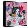 Portraits in Bloom II-Sandra Iafrate-Framed Stretched Canvas