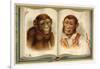 Portraits of an Ape and a Man-null-Framed Giclee Print