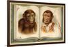 Portraits of an Ape and a Man-null-Framed Giclee Print