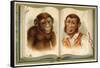 Portraits of an Ape and a Man-null-Framed Stretched Canvas