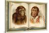 Portraits of an Ape and a Man-null-Stretched Canvas