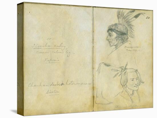 Portraits of Grey Leg and an Unidentified Sisseton Man, 1851-Frank Blackwell Mayer-Stretched Canvas