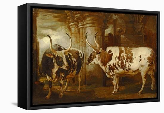 Portraits of Two Extraordinary Oxen, the Property of the Earl of Powis, 1814-James Ward-Framed Stretched Canvas
