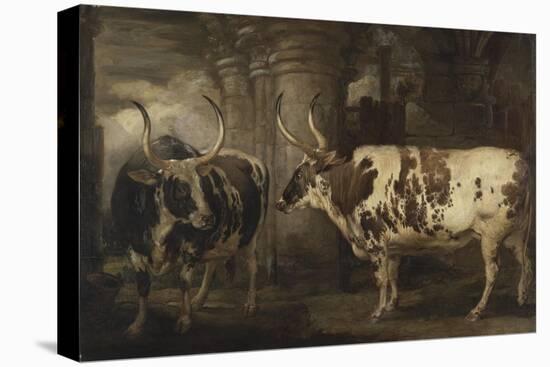 Portraits of Two Extraordinary Oxen, the Property of the Earl of Powis, 1814-James Ward-Stretched Canvas