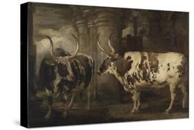 Portraits of Two Extraordinary Oxen, the Property of the Earl of Powis, 1814-James Ward-Stretched Canvas