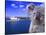 Portrayal of Opera House and Koala, Sydney, Australia-Bill Bachmann-Stretched Canvas