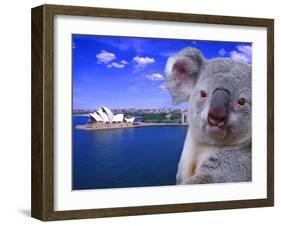 Portrayal of Opera House and Koala, Sydney, Australia-Bill Bachmann-Framed Premium Photographic Print