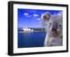 Portrayal of Opera House and Koala, Sydney, Australia-Bill Bachmann-Framed Premium Photographic Print