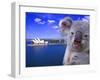Portrayal of Opera House and Koala, Sydney, Australia-Bill Bachmann-Framed Premium Photographic Print