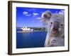 Portrayal of Opera House and Koala, Sydney, Australia-Bill Bachmann-Framed Photographic Print