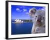 Portrayal of Opera House and Koala, Sydney, Australia-Bill Bachmann-Framed Photographic Print