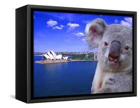 Portrayal of Opera House and Koala, Sydney, Australia-Bill Bachmann-Framed Stretched Canvas