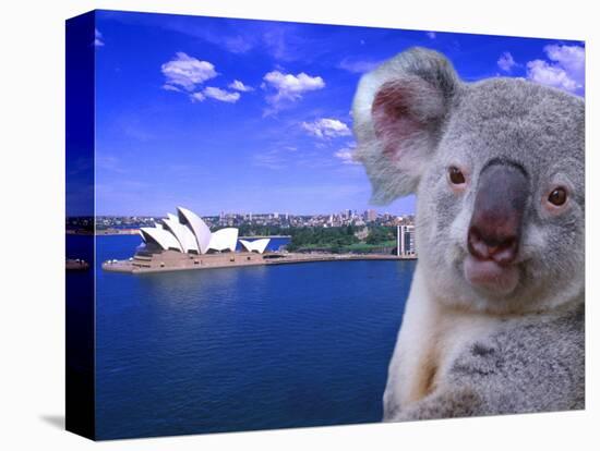 Portrayal of Opera House and Koala, Sydney, Australia-Bill Bachmann-Stretched Canvas