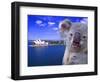 Portrayal of Opera House and Koala, Sydney, Australia-Bill Bachmann-Framed Photographic Print