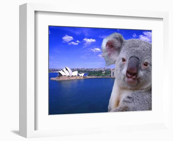 Portrayal of Opera House and Koala, Sydney, Australia-Bill Bachmann-Framed Photographic Print