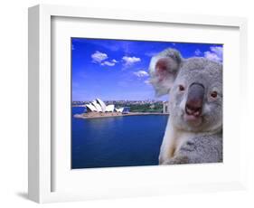 Portrayal of Opera House and Koala, Sydney, Australia-Bill Bachmann-Framed Photographic Print