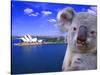 Portrayal of Opera House and Koala, Sydney, Australia-Bill Bachmann-Stretched Canvas