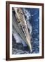 Portside Meet-Ingrid Abery-Framed Giclee Print