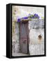 Portugal, Aveiro. Old red metal door with bright blue and pink morning glory flower-Julie Eggers-Framed Stretched Canvas