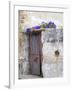 Portugal, Aveiro. Old red metal door with bright blue and pink morning glory flower-Julie Eggers-Framed Photographic Print