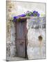 Portugal, Aveiro. Old red metal door with bright blue and pink morning glory flower-Julie Eggers-Mounted Photographic Print