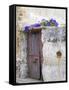 Portugal, Aveiro. Old red metal door with bright blue and pink morning glory flower-Julie Eggers-Framed Stretched Canvas